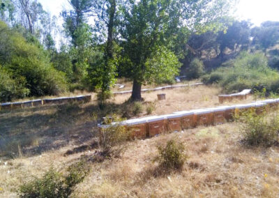 Colmenar
