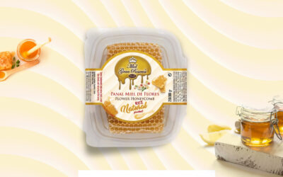Panal de miel un tesoro de la naturaleza